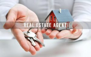 Real Estate Agent